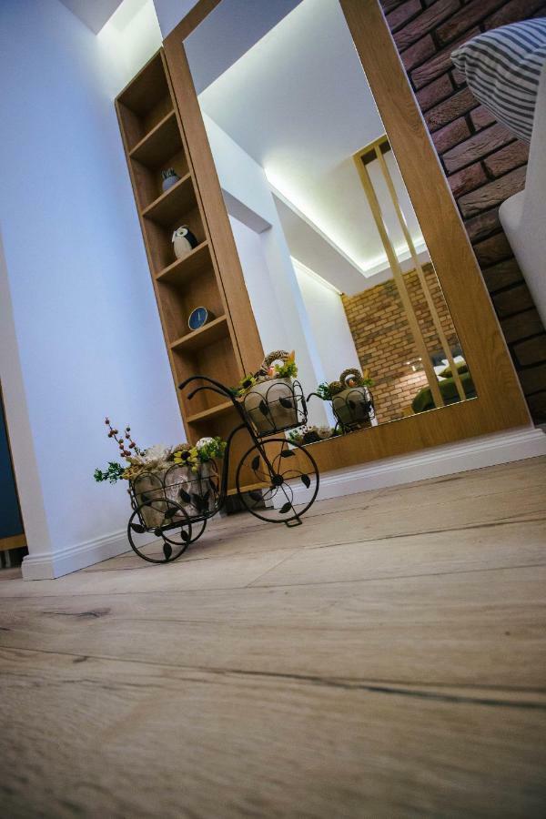 Briana Luxury Studio Kluż-Napoka Zewnętrze zdjęcie