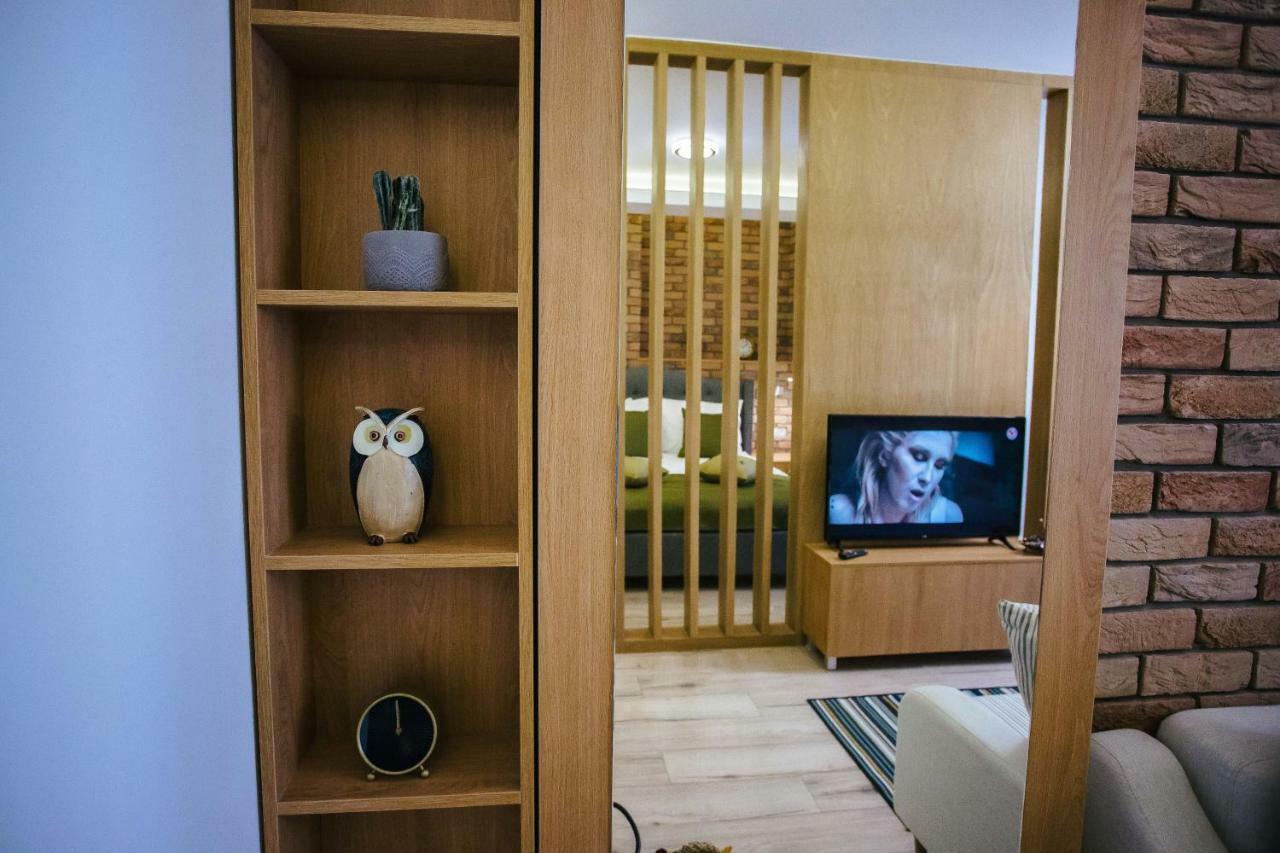 Briana Luxury Studio Kluż-Napoka Zewnętrze zdjęcie